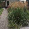 Voortuin met prairieborder en achtertuin met zwembad
