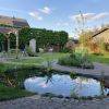 Achtertuin Cromvoirt met organische vormen met vijver