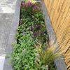 Achtertuin Rosmalen met flagstones en boedha